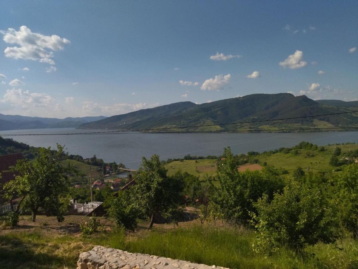 Apartmani Kuljanin 下米拉诺瓦茨 外观 照片