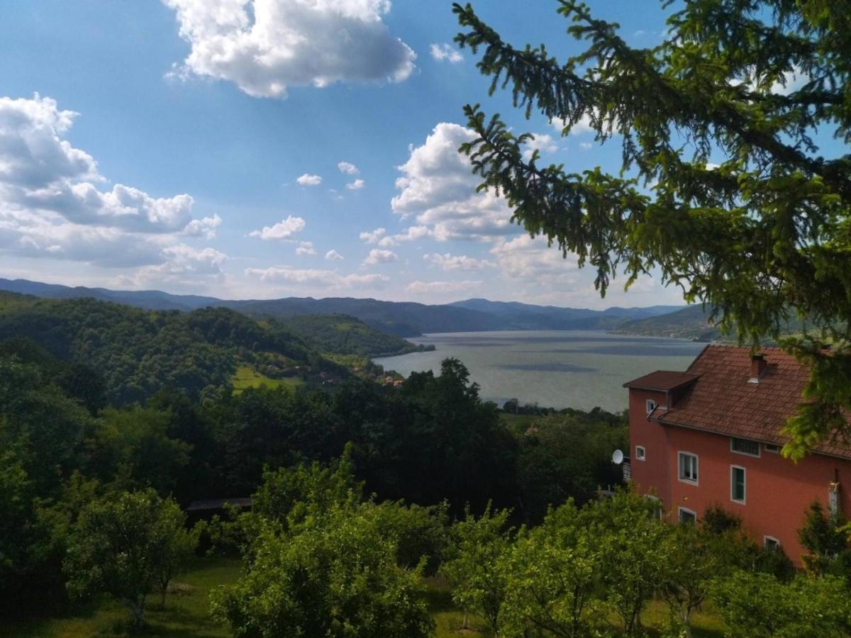Apartmani Kuljanin 下米拉诺瓦茨 外观 照片